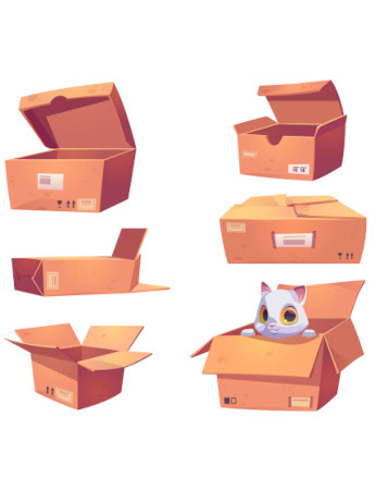 Кіт в коробці